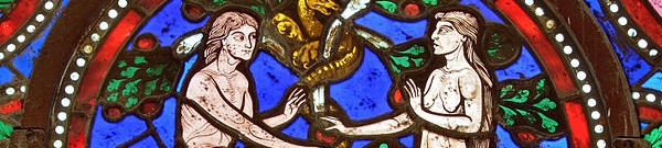 Bijbelboek Genesis