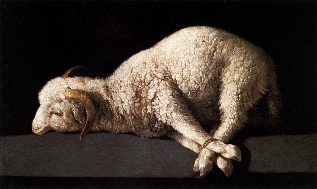 'Agnus Dei' door Francisco de Zurbarn (1598-1664)