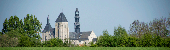 De Leeuwse Bijbel. Een uniek Brabants bijbelmanuscript uit 1248