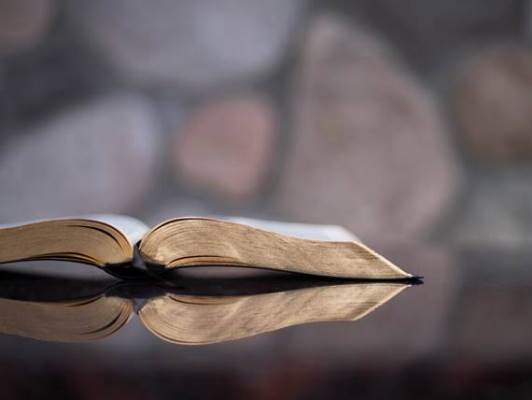 Didachè-studiedagen Bijbel 2022: De Psalmen